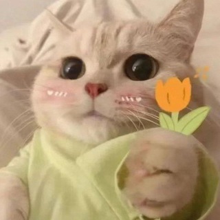 Кукусики
