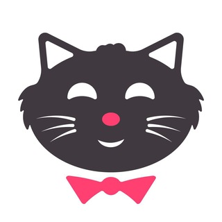 КОТАНЫ! 😻