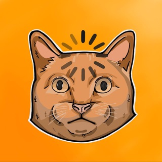 рыжие коты