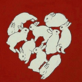 rabbithole 🐇