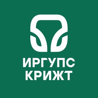 Красноярский институт железнодорожного транспорта (КрИЖТ ИрГУПС)