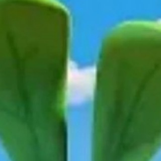 krosh the monster