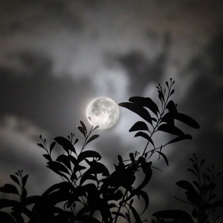 ezo moon ⛧