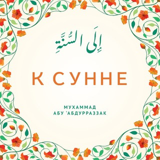 К Сунне | Полезное об Исламе