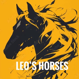 Купить лошадь, продать коня, амуниция | Leo's Horses