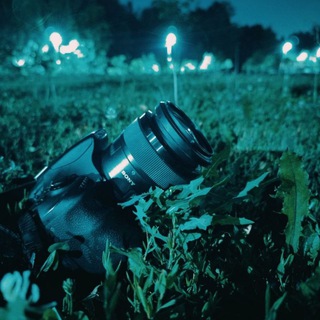 Эйфория 🌌