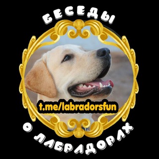 Беседы о Лабрадорах 🦮