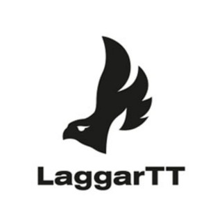 LaggarTT. Газовые котлы / радиаторы
