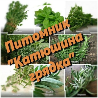 Питомник многолетних растений "Катюшина грядка"