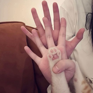 le