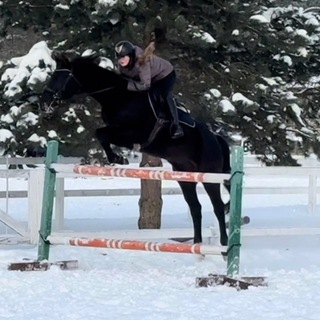 Varya_equi