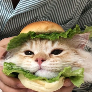 lesscat