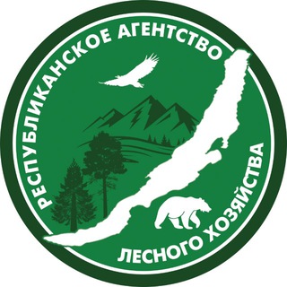 Лесное хозяйство Бурятии🌲