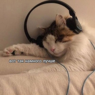 мемчики