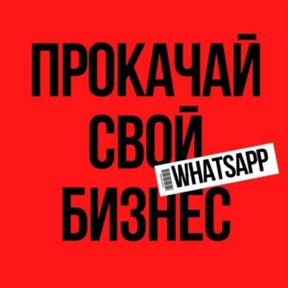 Реклама. Прокачка тг и ватсап. Отзывы.
