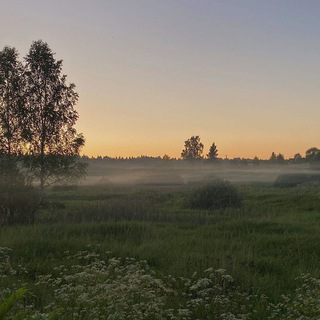 Румынизатор. Чат