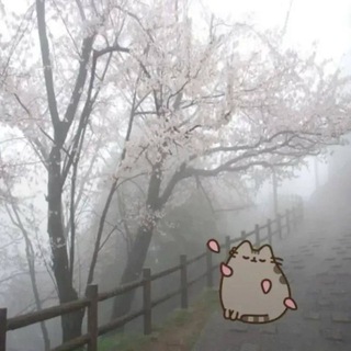 平和 linae