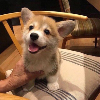 Уютный уголок💗