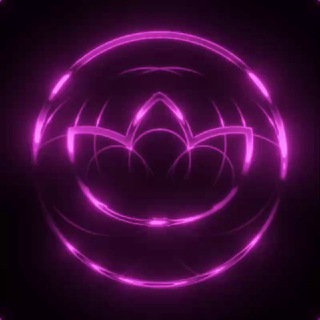 LOTUS FEST INFO