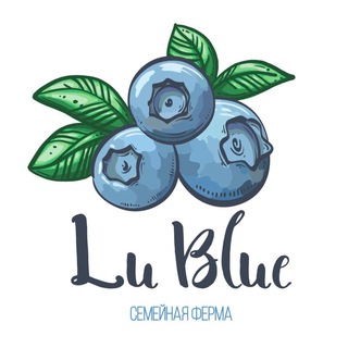 Lu_blue berry
