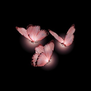 lf 🌙