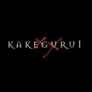 Сливаю курсы блогеров