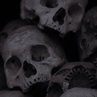 𝑅𝑖𝑧𝑒 | 𝐴𝑒𝑠𝑡ℎ𝑒𝑡𝑖𝑐