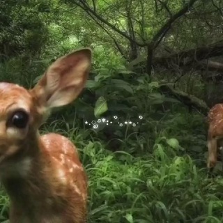 malin.ul🌼