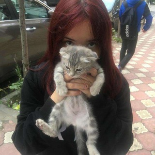 манкисори