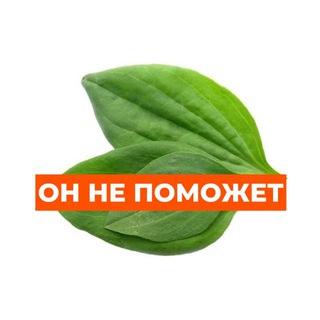 маркетинг на коленках
