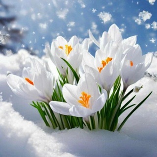 Primavera