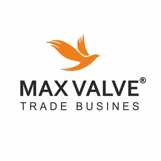 MAX VALVE
