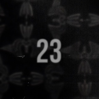 23