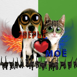 Зверьё моё