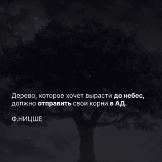 ВНЕ СЕТКИ