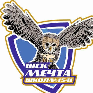 ШСК «Мечта»ГБОУ Школа 1541