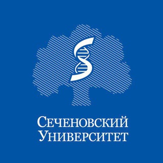1 курс | материалы