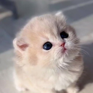 Улетные приколы