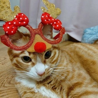 suni.shop
