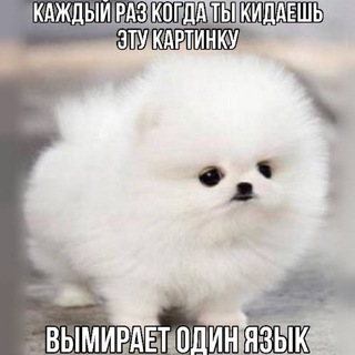 Мемы тех, кех