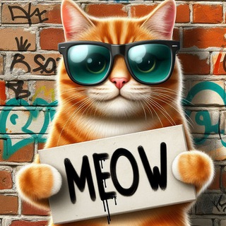 Memes_Meow