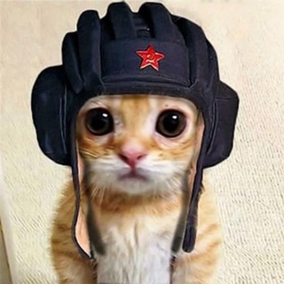 Мемотека