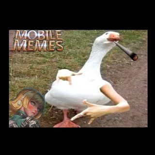 Mobile Legends Memes mlbb