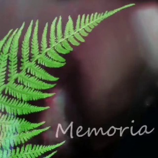 Memoria🌿