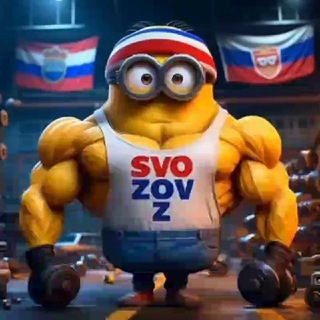 МНДР — ZOV