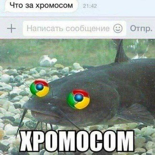 Пары СОМиКОв 🐺