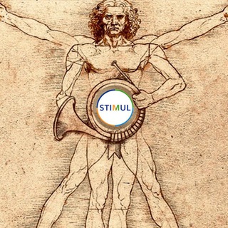 STIMULЫ PRO