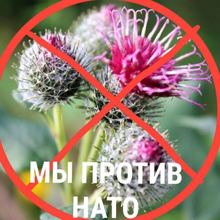 МЫ ПРОТИВ НАТО