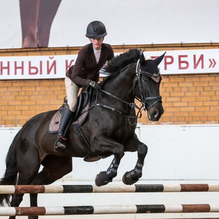 milana.equ