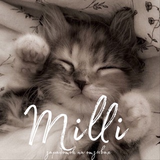 milli•| заработок на отзывах